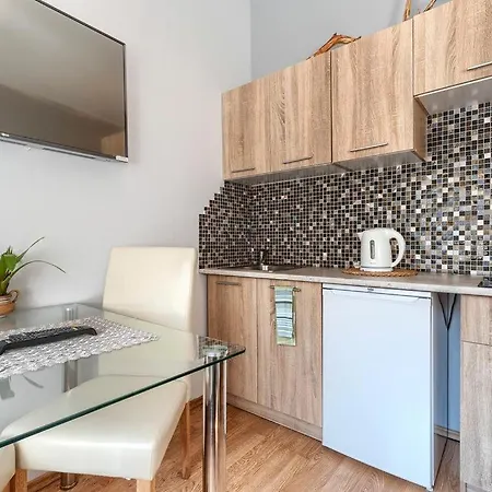 Kawalerka Centrum -trójka-ozonowana Apartament